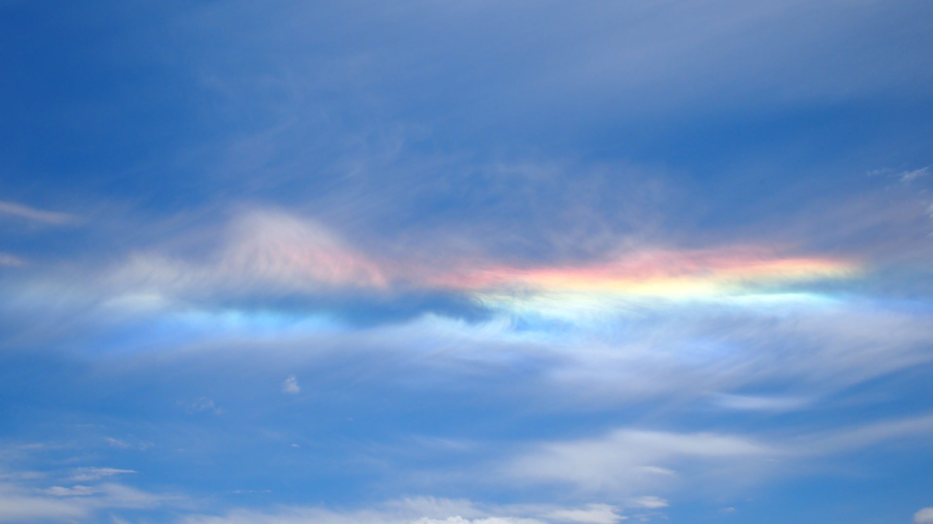 Tomokatsu Official Site