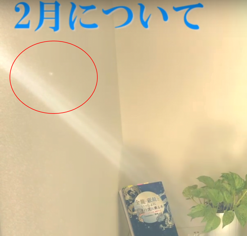 妖精が動画に写り込んだ スピリチュアル ボーカルチャネリング Tomokatsu