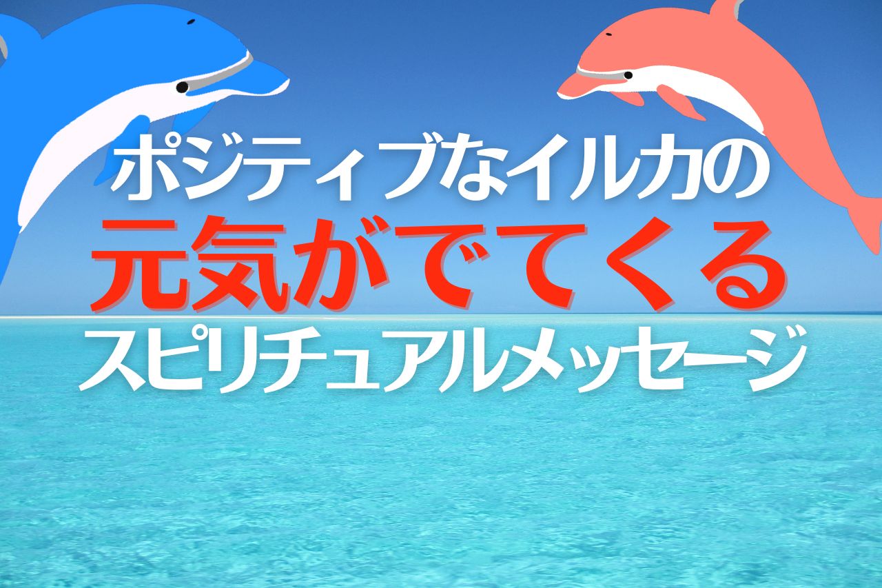 元気がでてくる イルカのスピリチュアルメッセージ集 まぜまぜプリン Tomokatsu