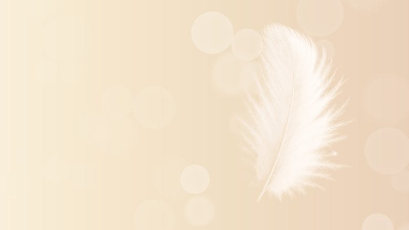 エンジェルユニオン講座の天使の羽のイメージ