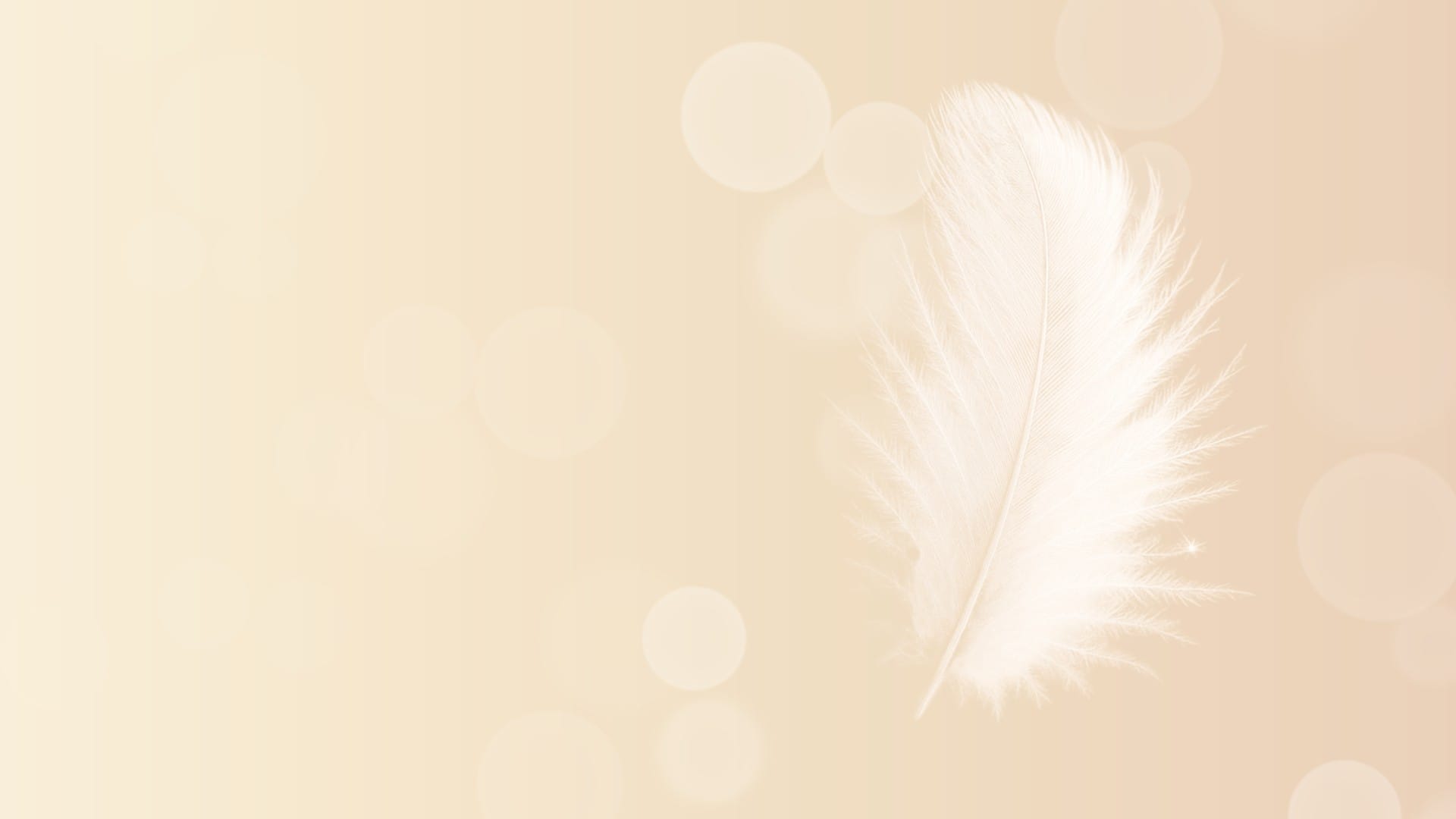 エンジェルユニオン講座のイメージ