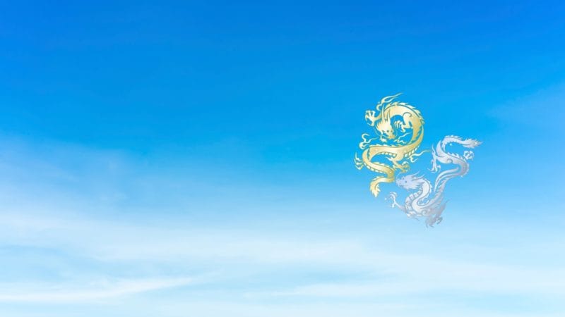 プレ・ドラゴンライダー講座のイメージ